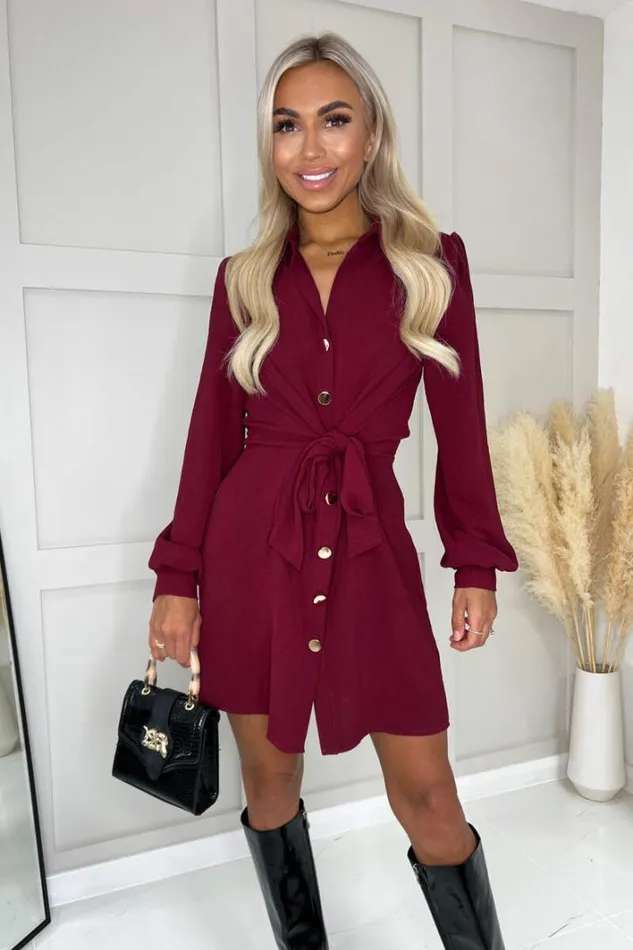 AX Paris Wine Button Tie Front Mini Shirt Dress Dresses
