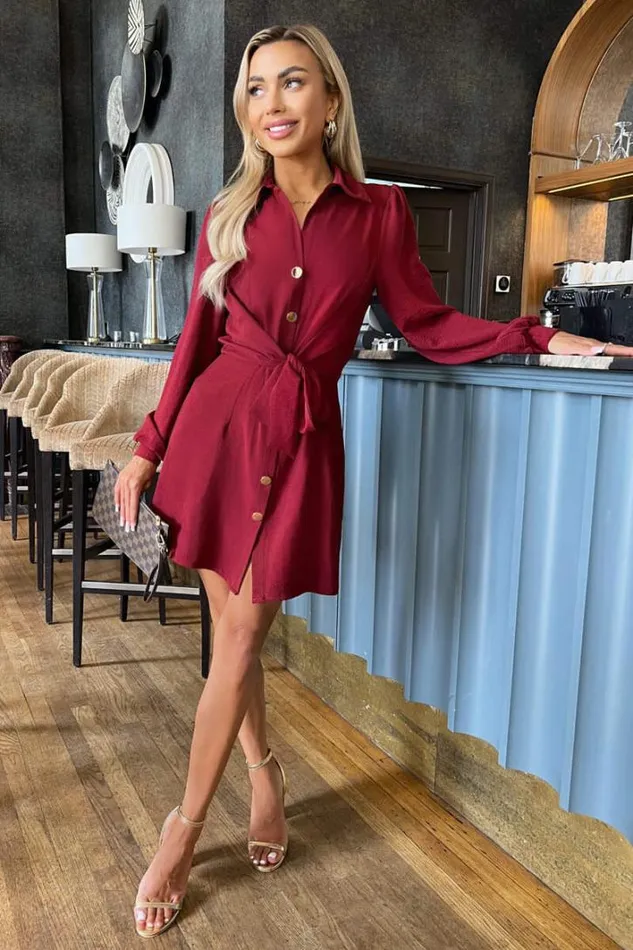 AX Paris Wine Button Tie Front Mini Shirt Dress Dresses