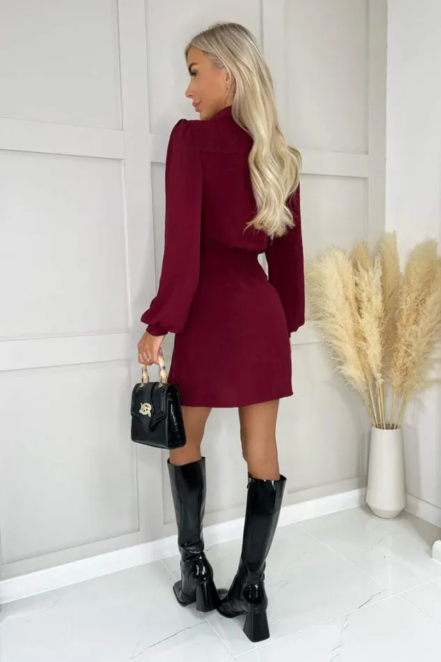 AX Paris Wine Button Tie Front Mini Shirt Dress Dresses