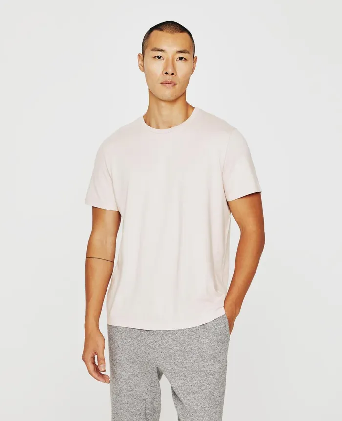 Bryce Crew Vintage Pink Men AG Jeans Tees