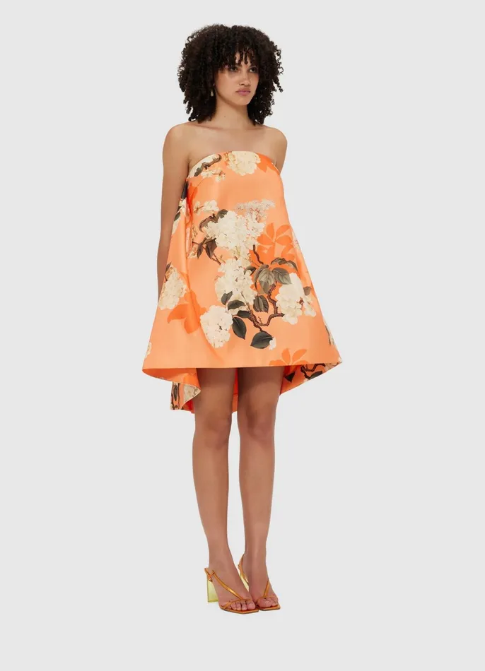 Dresses and Jumpsuits Women LEO LIN Fay Mini Dress 8211 Hydrangea Print In Tangerine