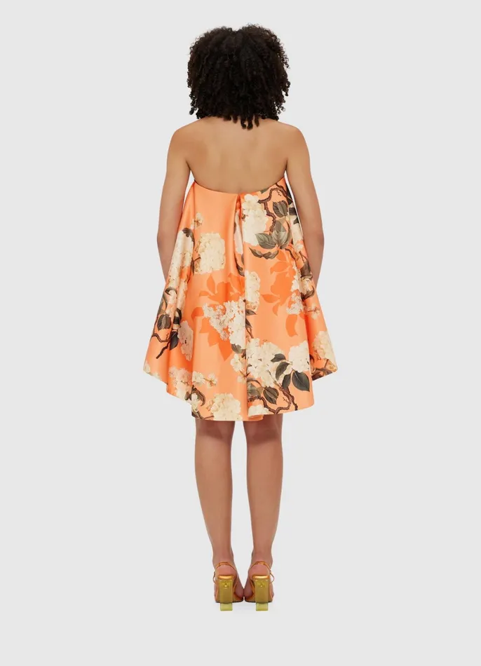 Dresses and Jumpsuits Women LEO LIN Fay Mini Dress 8211 Hydrangea Print In Tangerine