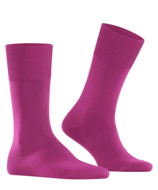 Men ClimaWool Men Socks Berry FALKE Socks
