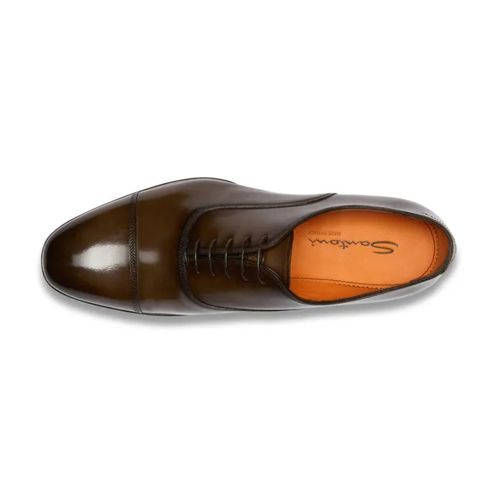 Men Dark Brown Leather Oxford Shoe Santoni LaceUps