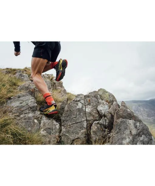 Men RU4 Endurance Men Running Socks Herb FALKE Running Socks