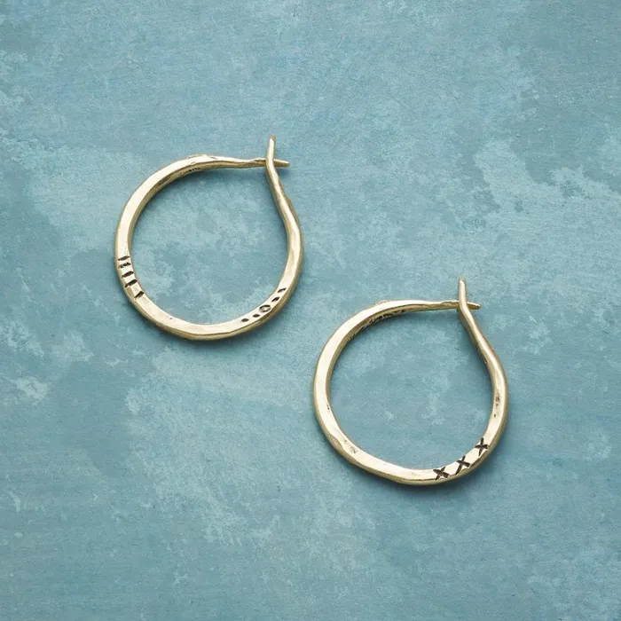Women Always Loved Hoops Sundance Catalog Earrings