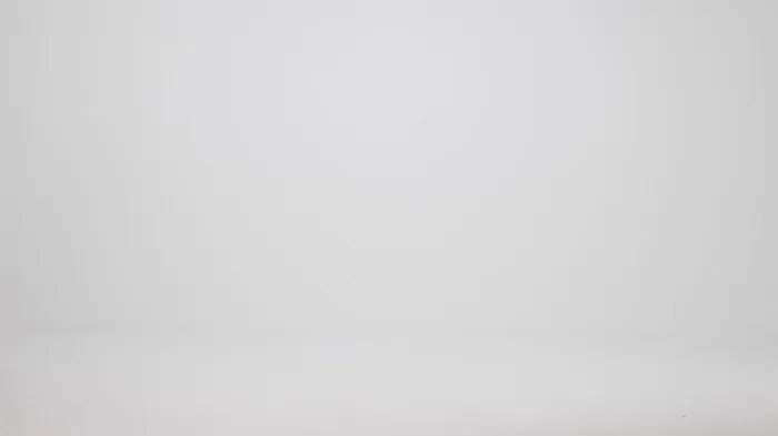 Women Brahmin Satchels Duxbury Satchel Brindle Moonstone