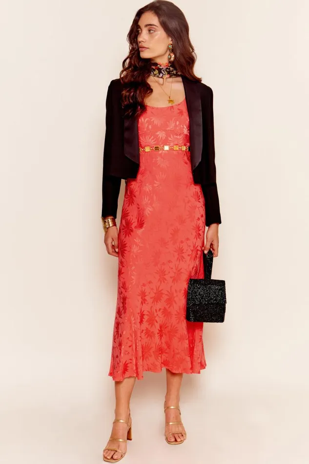 Women RIXO All Clothing Benedict Midi Dress Daisy Jacquard Cayenne