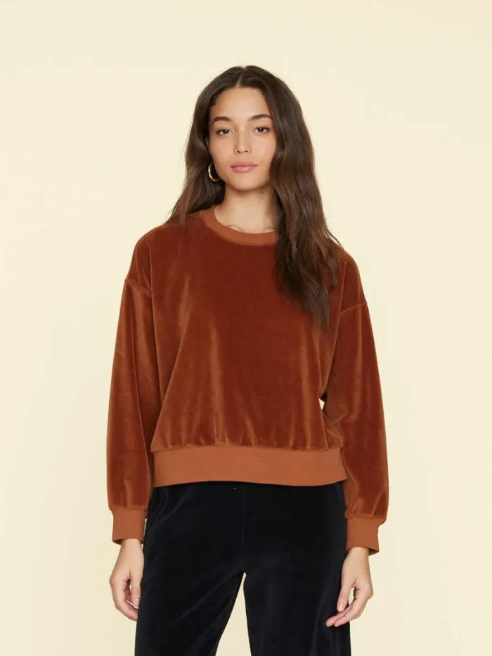 Xirena Brown Sugar Huxley Velour Sweatshirt Women Sweats and Tees